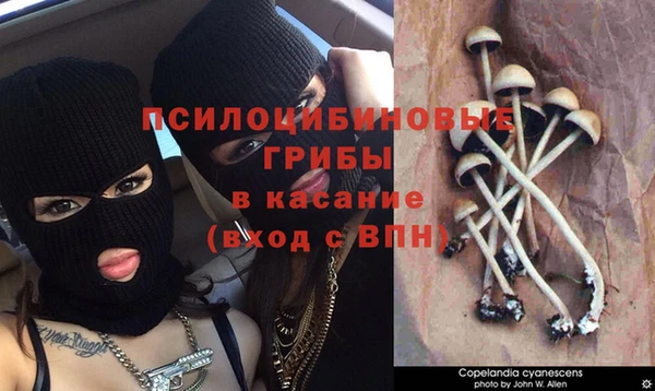 синтетический гашиш Ладушкин