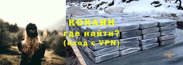 молекула духа Надым