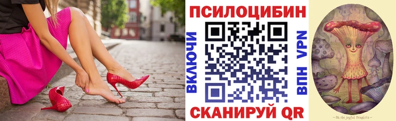 Галлюциногенные грибы Cubensis  Нерчинск 